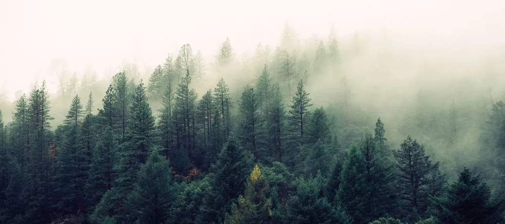 Kanvas nasıl üretiliyor